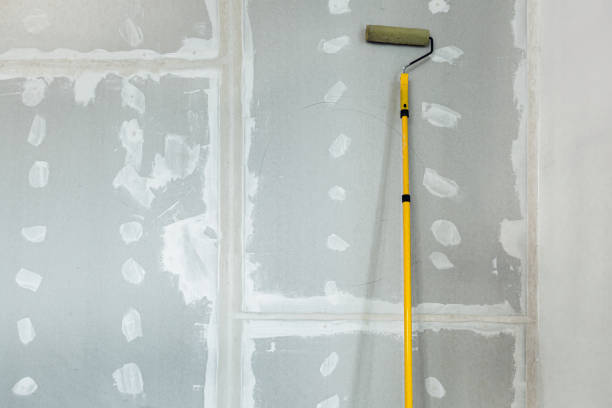 Best Asbestos and Lead Testing During Mold Inspection  in Elkin, NC